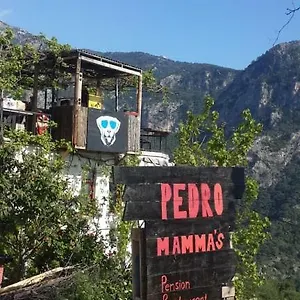 Pedro Mamma's Faralya